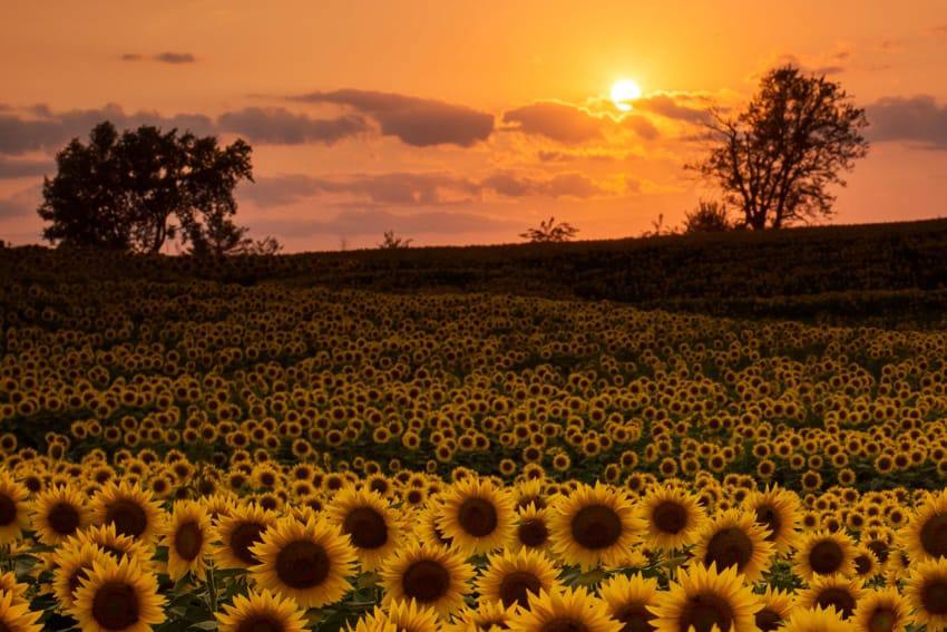 Autumn equinox yoga Tidal